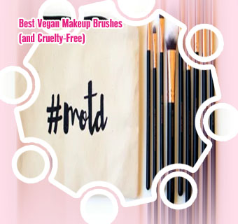 Cruelty free makeup brushes